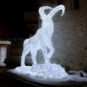 animaux_20231218