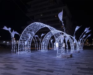 arche_202224-24v