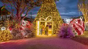 slider_Leblanc_illuminations_galerie2