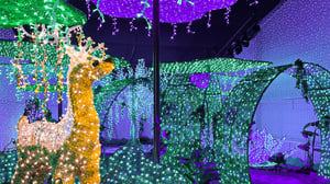 slider_showroom2025_avatar