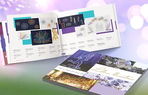 2024_catalog_saisons_EN