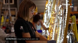 video_JT_20H_France2_2026