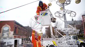 video_canada_sapin_Sherbrooke