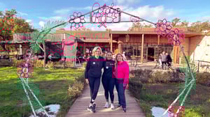 video_decors_octobre_rose